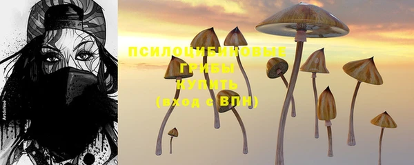 дурь Армянск