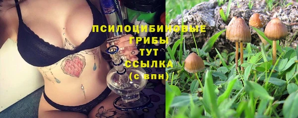 ALPHA PVP Арсеньев