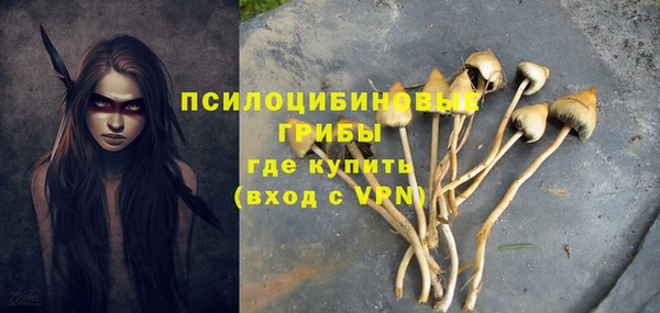 герыч Аркадак